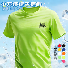 ����T���ٸɶ����Ļ���Բ�����ӡ��LOGO��������������Ž�����
