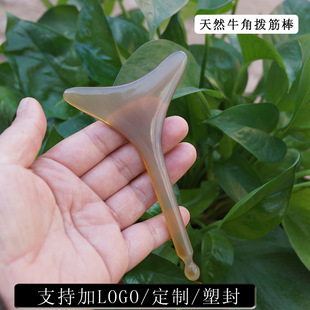 ����������Sţ���沿Ę���۲����݌����~β�Ύ��A�c�����cѨ��Ħ