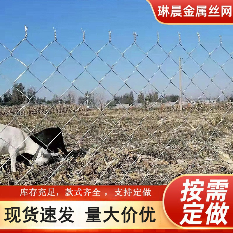 现货镀锌菱形勾花网边坡绿化铁丝网护坡挂网鱼塘围栏养殖圈地围网