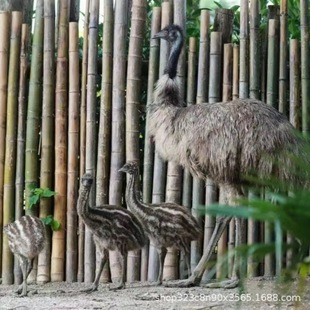 �r�B����w �����^�p������B�������U �������������r�B�����l