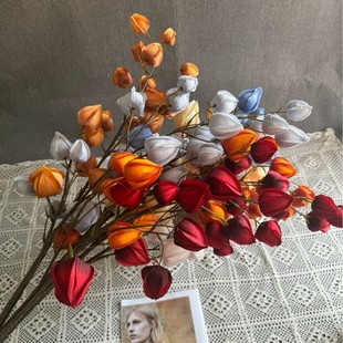 ���\�����滨�ٻ��[����c��Y�Ҿ��b���ĭ�����������