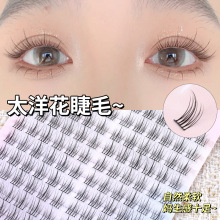 ̫��ꖻ��ٽ�ë�ֶ�ʽ�δ���������С�֐�ħ��ë��Ȼ�ճ��Ѽ���