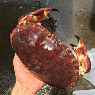 ���r�������з�۠��m���r�S��з�M�S�з�䌚з1.5-3��һ�����l