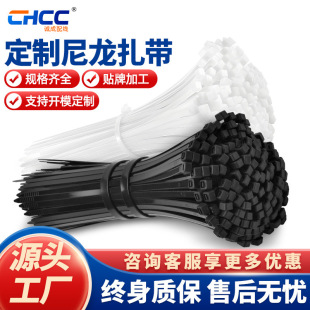 Plastic Self-Locking Nylon Cable Ties 3*100*4*200*5*500 Black Flame-Retardant Cable Ties