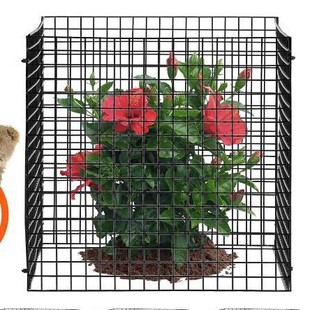 ֲ�ﱣ�o�W��Ƭ�������ҧ�F�z�W��\ֲ�ﱣ�o�ְ����F�z�W��Ƭ