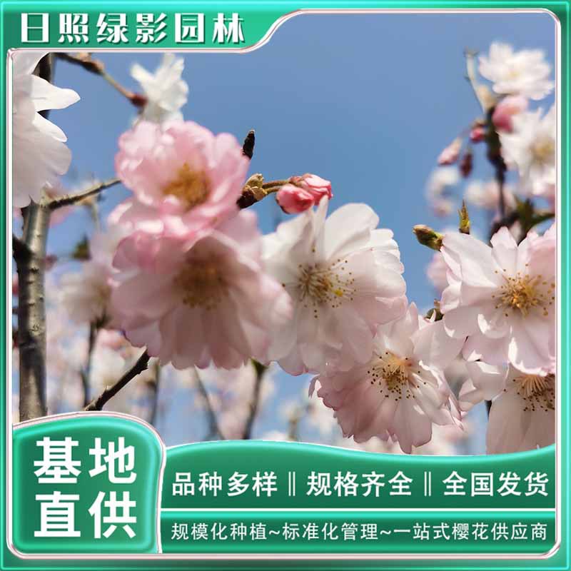 微信图片_20230818145131 副本.jpg