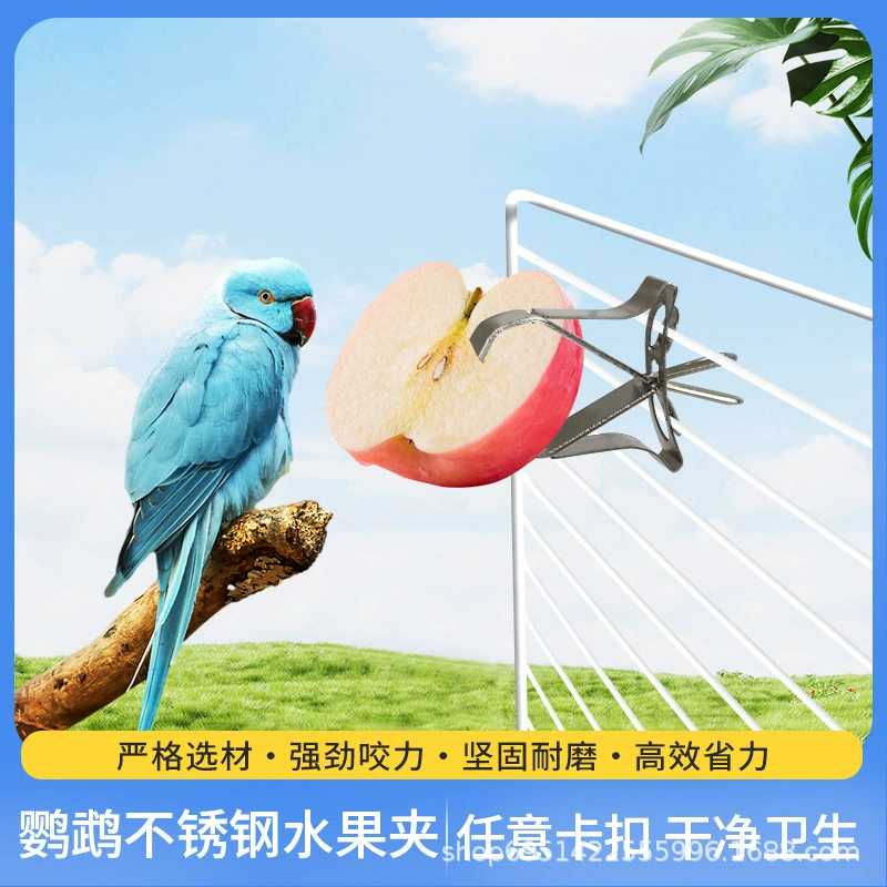 Наутилус птица с фруктовым вилкой из нержавеющей стали фруктовый стержень попугай кормушка для птиц