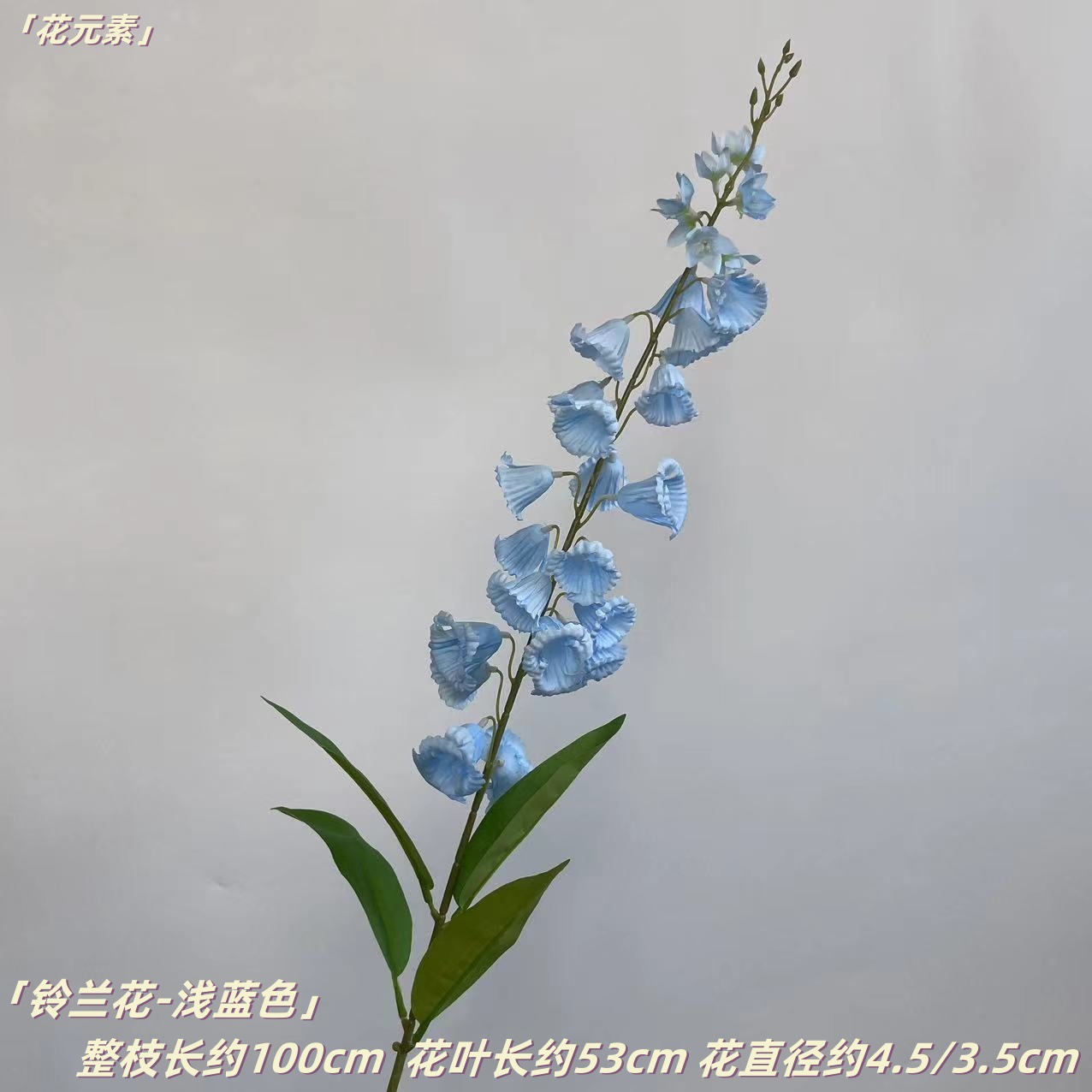 라이트 블루