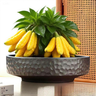 ���lˮ�໨���մ��~�X��˯ɏˮɏ������}�o�׷��֗U�W�t�辰���l