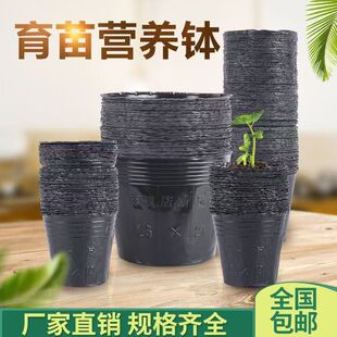 �I�B�����B�����ϱ��Ӻ���������N�����ô�