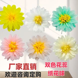 ����ջ���Y�pɫ���（���� �ֹ����h�}�Q�b��������Ɍ�����