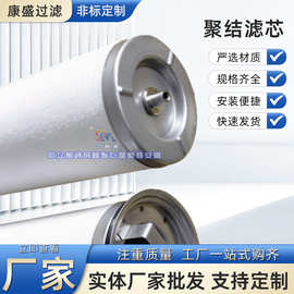 LCS4H1AH电厂聚结滤芯天燃气聚结器滤芯油气分离聚结滤芯