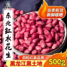 东北红衣生花生米500g黑龙江四粒红花生仁新鲜红皮不带壳新货米仁