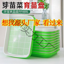 ����Pѿ��P���̨�N����ˮ���߲˶�ѿ�o��С������Nֲ�P������