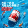 防水防渗防雨柔韧性涂料