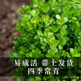 С�~�S��������S������ͥԺ�S�����G�h����������~�S�����