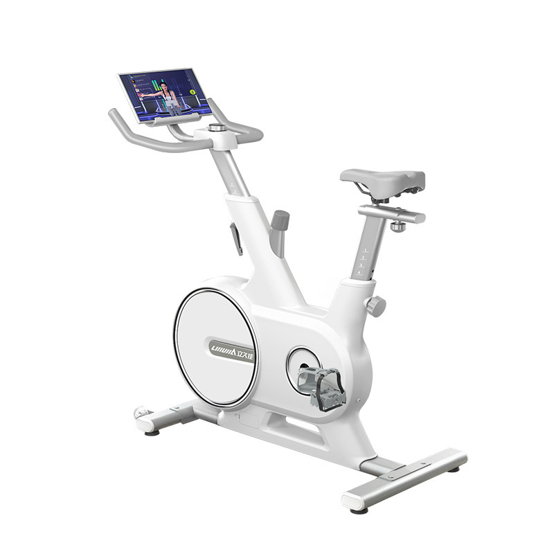 Lijiujia D500 Bicicletas dinámicas al aire libre de montaña Bicicletas domésticas para perder peso Deportes en interiores Ciclismo de fitness