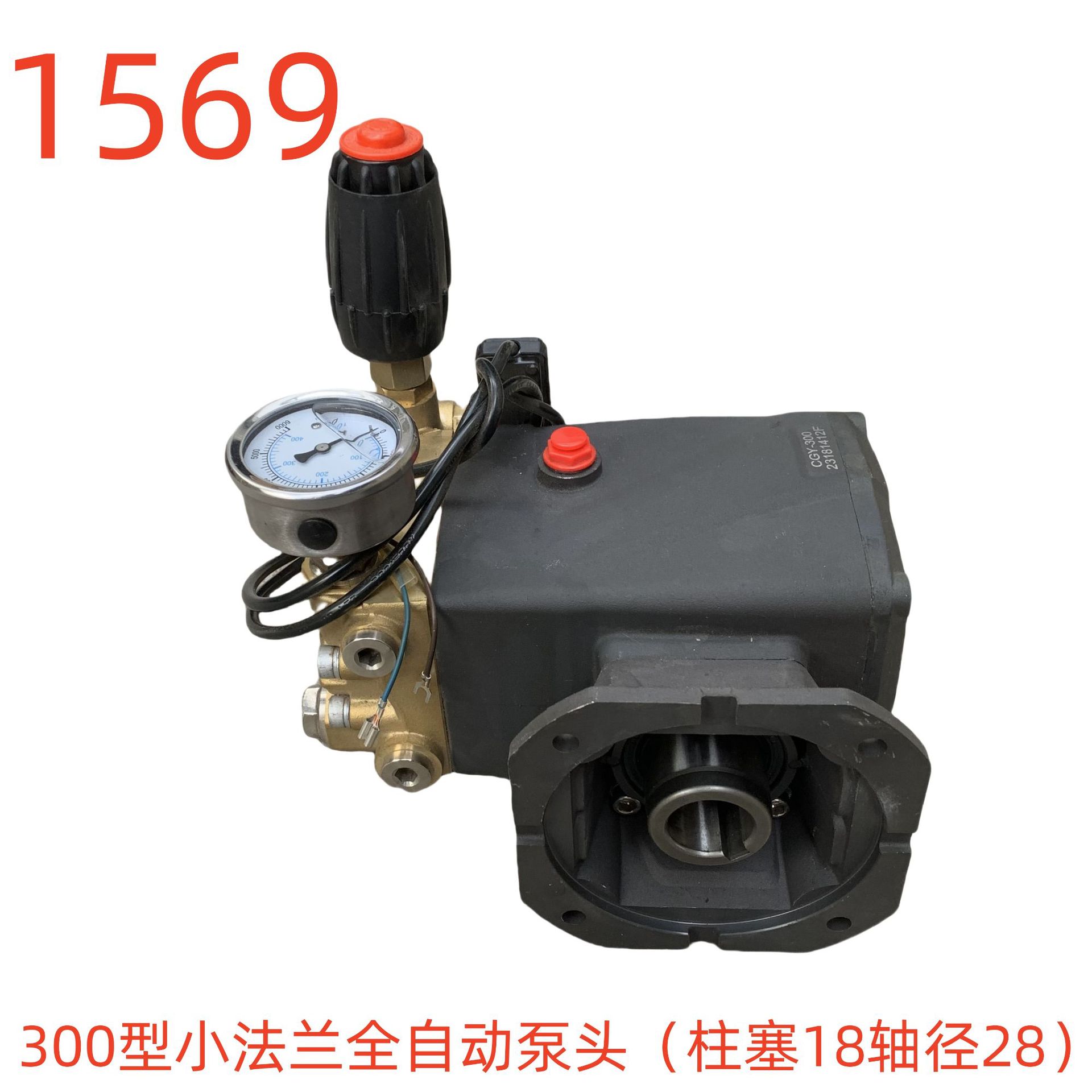 洗特300型小法兰全自动泵头-1569号