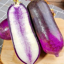 冰淇淋水果萝卜新鲜冰激凌红冰糖心5斤新鲜潍坊青萝卜甜脆型生吃