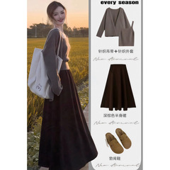秋の服とセットの微太ったニットのカーディガンのベストの半身のスカートの韓国系の年齢を減らします高級感の2つのセットの女性