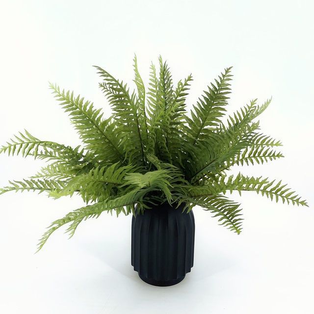 simulation Fern leaf plastic cement Wolf tail fern metope ground Landscaping Green plant Restaurant Place Botany Flower Box flower arrangement Fern