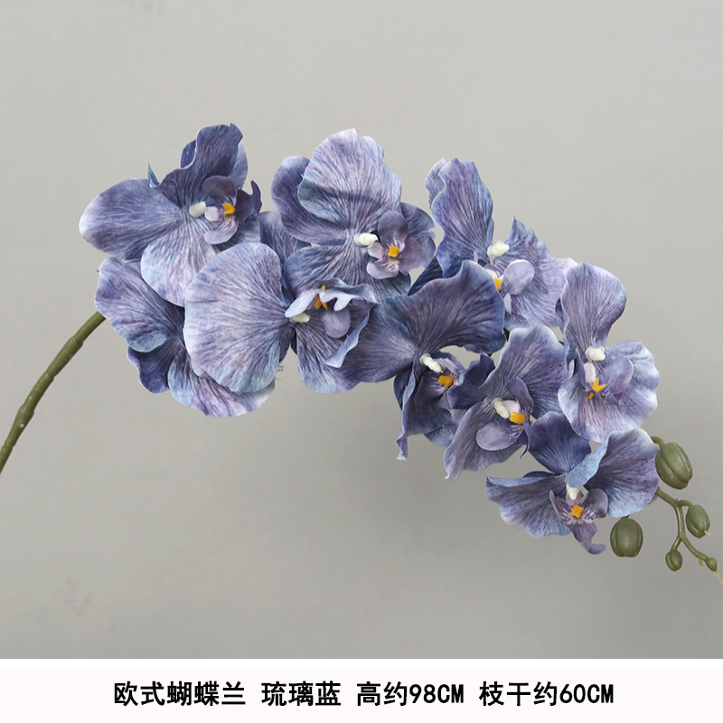 Silk european phalaenopsis glazed blue
