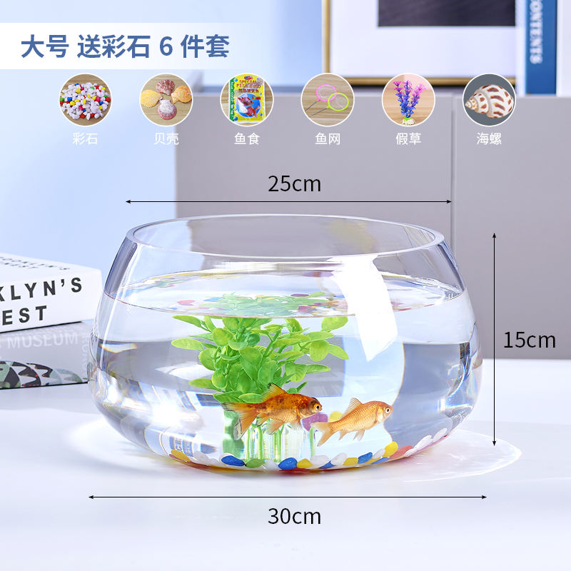 큰 거북이 실린더 컬러 돌 6 조각 세트