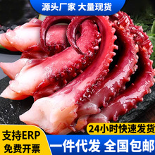 鱿鱼须冷冻脆口鱿鱼须冷冻生鲜火锅烧烤食材水产商用批发包邮