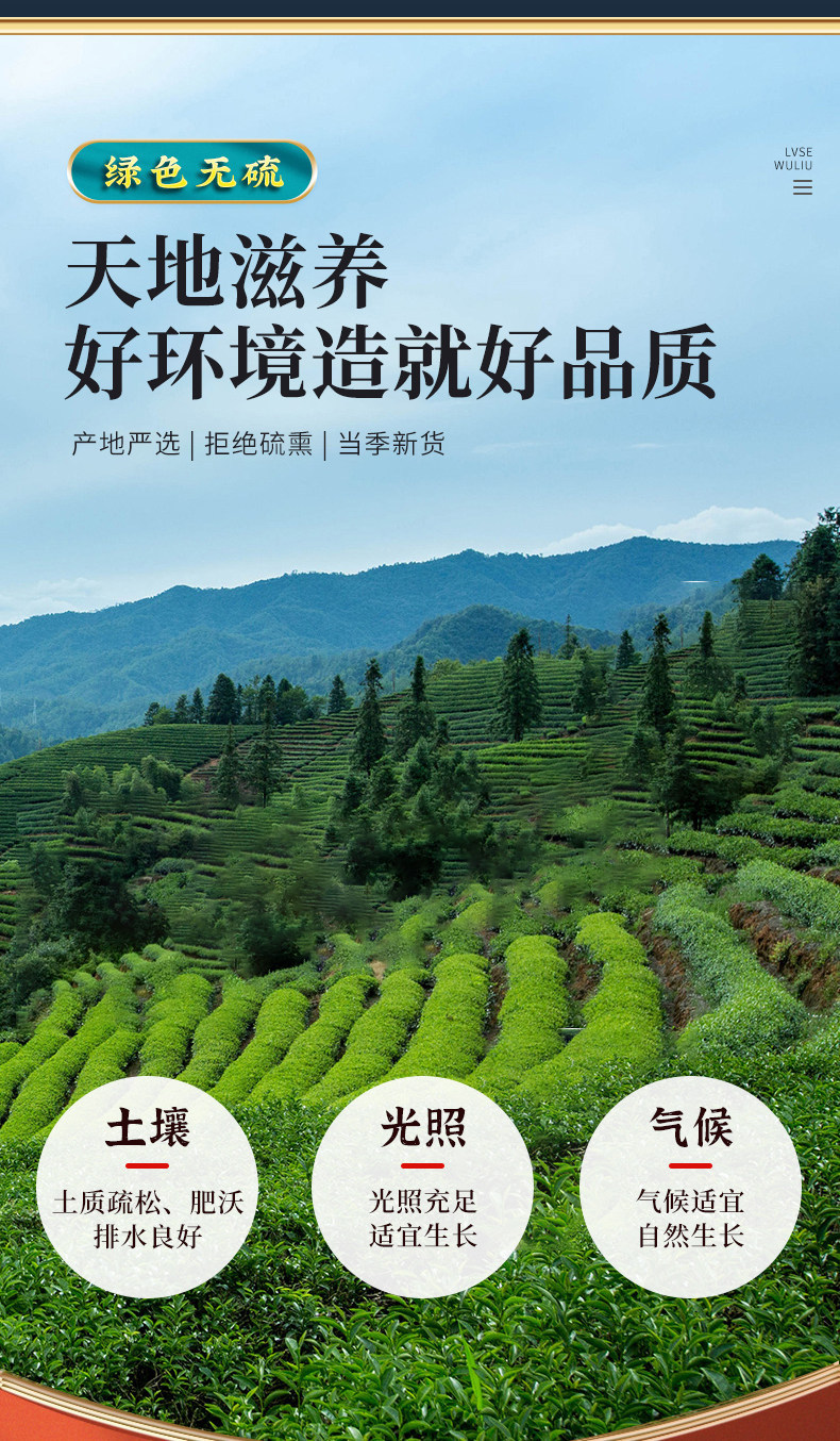 Dried Yu Zhu Slices 500g Hunan Solomon's Seal Root for Tea and Soup key features