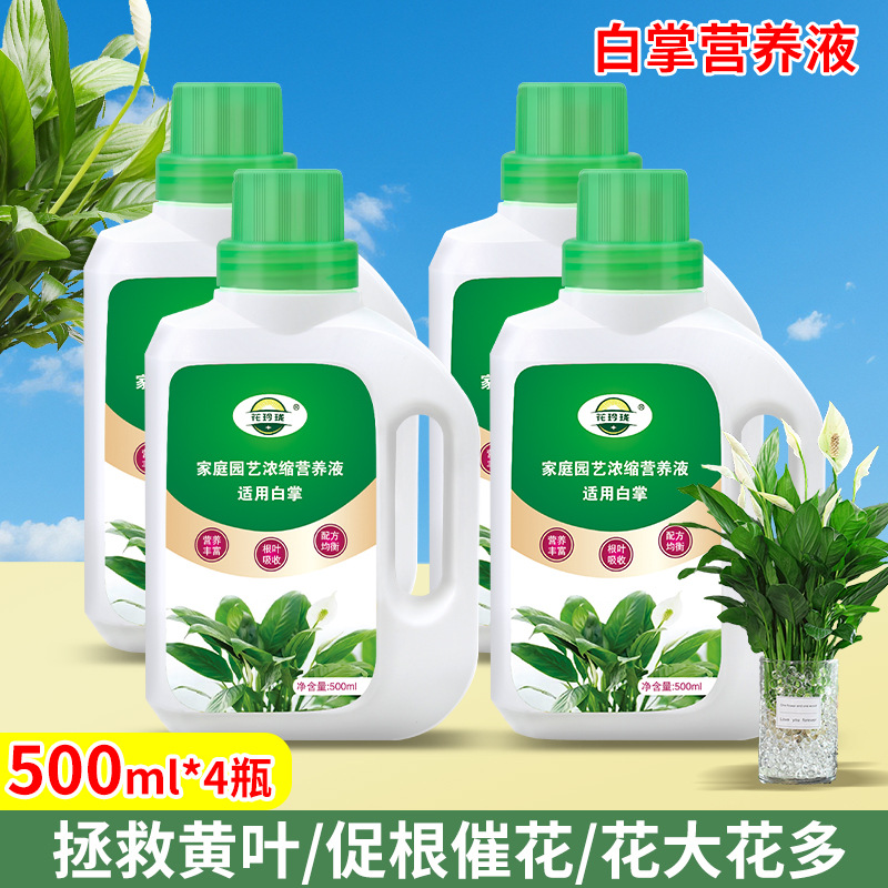 Special nutrient solution for white palms 500ml*4 bottles