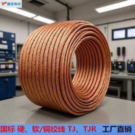 硬/软 铜绞线TJR1,TJ防雷接地变压器电炉专用铜线厂家直销