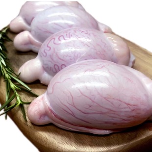 �����r�����򵰵���������������ك���������������������غ��