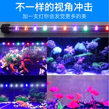 批发LED鱼缸灯 防水增艳潜水灯三基色水族箱龙鱼灯小型七彩照明灯