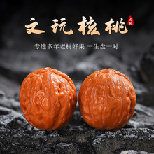 精品文玩核桃小秋子盘玩把件粗筋蚂蚁纹小尺寸核桃男女手捻把玩件