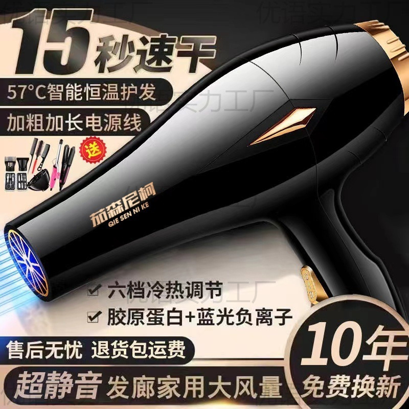 Hair Salon Special Hair Dryer for Blowing Hair, High Wind, Home Barber Shop, High Power Negative Ion Hair Care, Quick Drying and Mute