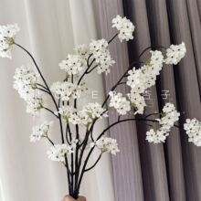 �����滨֦����ʽ��ˇ���Ļ�c�Ҿ��bzӰ���߷���ֲ�﹤�S���l