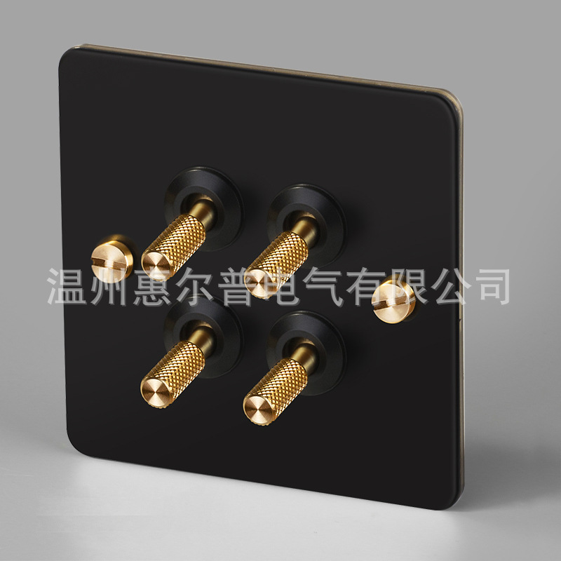 Mounted black retro switch key, light panel stainless steel