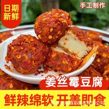 湖南邵阳霉豆腐无油姜丝霉豆腐 手工制作下饭菜豆腐乳
