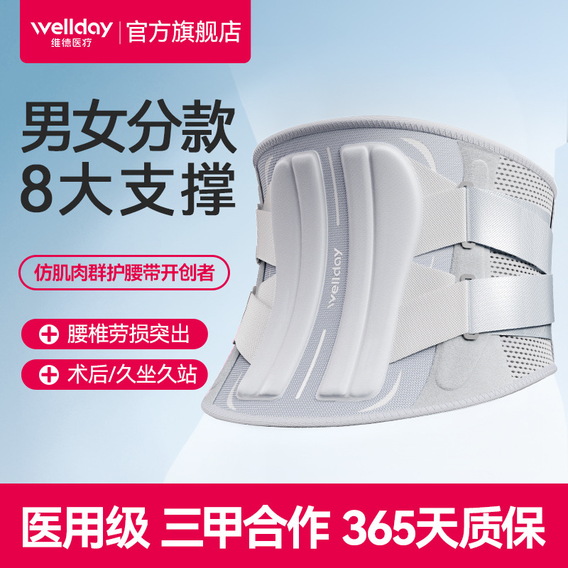 Wellday Waist Support Belt Waist Brace for Men and Women with Eight Support Points, Upgraded Version Wp01F