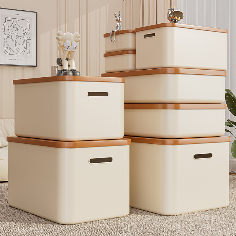 Desktop Storage Box, Sundries, Toys, Snacks Storage Basket with Lid, Large-Capacity Organizing Box, Plastic Rectangular Storage Box