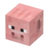 116_ Pig