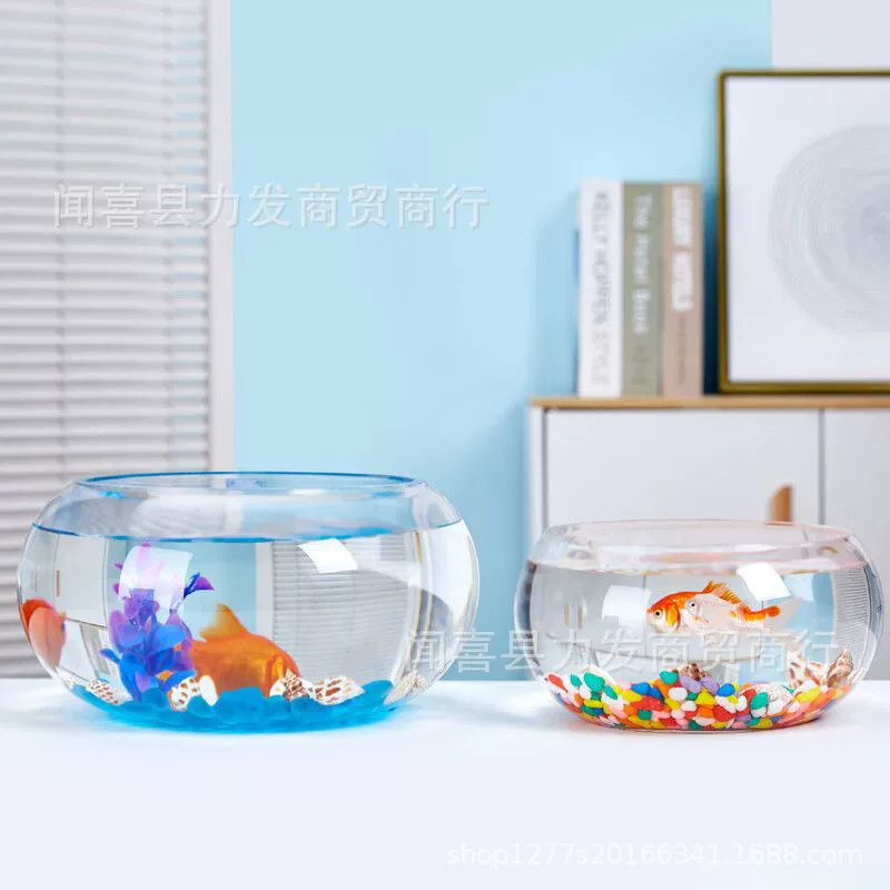 Creative transparent glass small aquarium for office