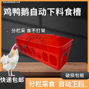 ���u���Z�Ԅ�����ʳ��ιʳ�����B�u��ι�ϲ۴��u�ԄӲ�ʳ���uʳ��