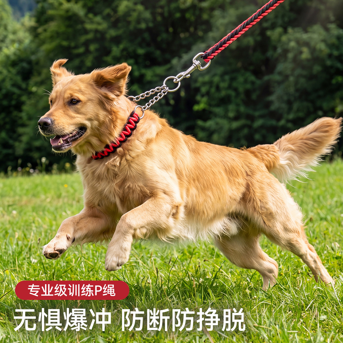 跨境狗狗牵引绳中型大型犬P绳防爆冲狗绳子拉布拉多P链项圈遛狗绳