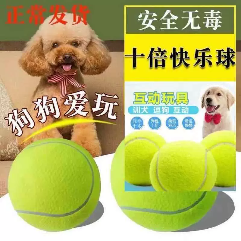 爆品宠物玩具 网球 黄色加粗白条网球  橡胶训练球宠物