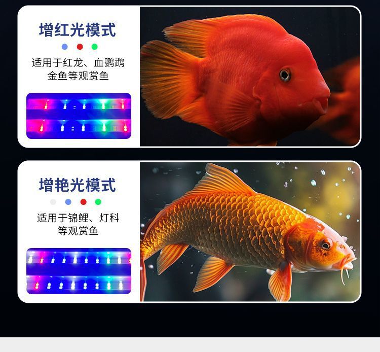 b404d8e4-e23a-4092-a887-40b00ca724f7.jpe