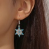 Platinum golden water, earrings, two-color accessory, wish, new collection, with snowflakes
