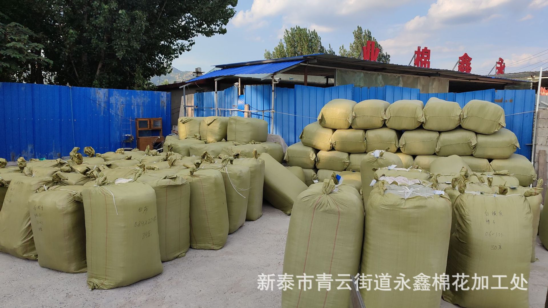 IMG_20210724_172652749_origina