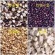 Fried coix seed tea, red bean, Tsz, poria cocos, boiled porridge, soaked in water, drink, remove dampness, not cold, coix seed water, 10 pairs
