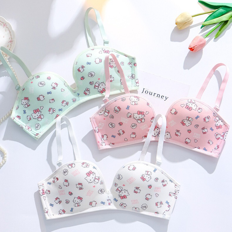 Japanese Cute Girl Underwear No Steel Ring Kt Cat Small Chest Push-up Bra suit Bra for Students Female High School Students
